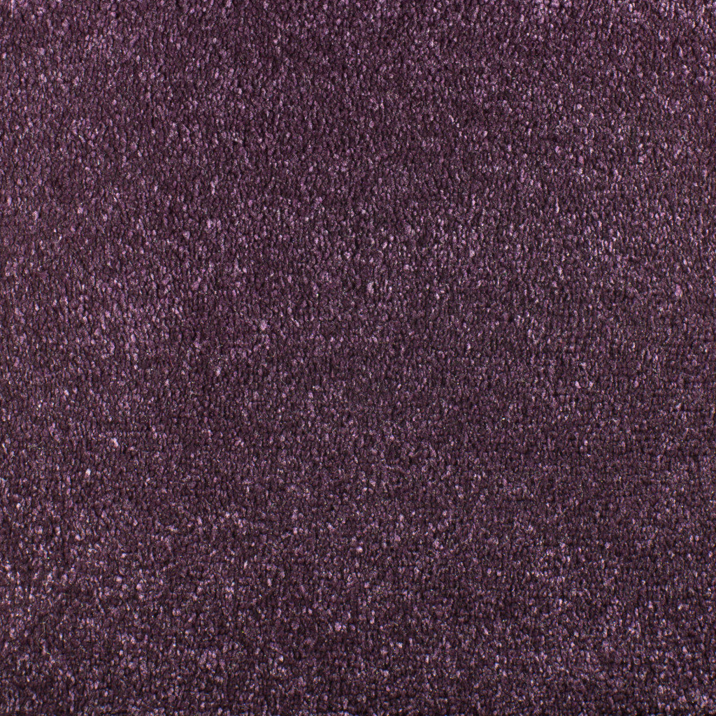 Purple Carpet Tapi Carpets & Flooring